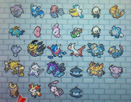 Some of the cool shinies I got the past few days shiny hunting and/or trading. (: Right now I’