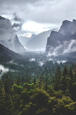stayfr-sh:  Yosemite National Park