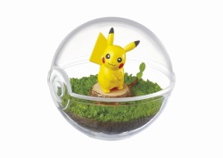 corsolanite:  HQ images of Pokémon Terrarium Pikachu, Bulbasaur, Eevee, lapras, Snorlax and Dragonair Figurines