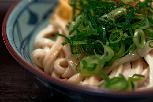 peko-poko:Marugame Udon by xperiane (Extremely busy) on Flickr.