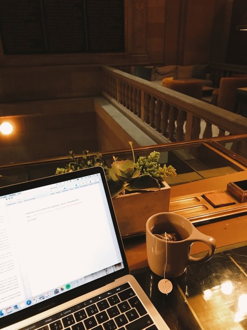 delphicoracle:the best studying spot.