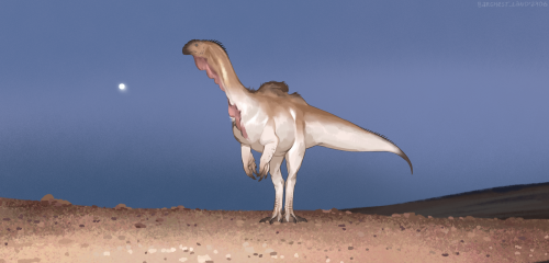4: Massospondylus! Isn't A Fat Storage Here But A Bit Of Speculative Skin For Display Cuz Why Not Also