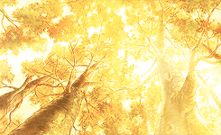 onlypooh:  ❝ as soon as I saw you, I knew an adventure was going to happen ❞ 