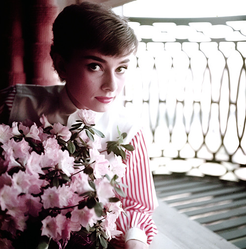rareaudreyhepburn:Audrey Hepburn photographed by Bob Willoughby in her apartment when she was perfor
