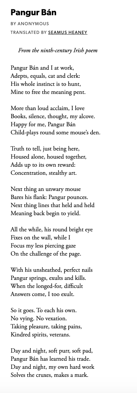 Have You Heard Of The Poem Pangur Bn? It's A 9th Century Poem Written By An Irish Monk About His Cat.