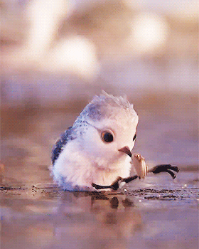 snowydragons:  Piper || Playing before Finding Dory on June 17th (´◠ω◠`) 