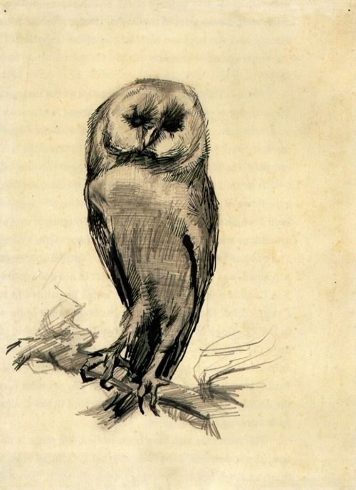 Barn Owl Viewed From The Front by Vincent Van Gogh, 1887