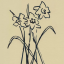 alistorsgallery