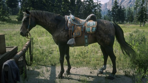 Showcasing the horses I have in “Red Dead Online”. Some new, some old with a lot le