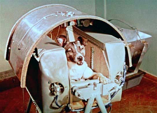 occultronic:  teddybearpostman:  Sputnik 2 was not designed to be retrievable, and