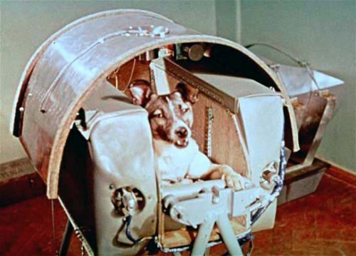 occultronic:  teddybearpostman:  Sputnik 2 was not designed to be retrievable, and Laika had always been intended to die.   Poor Laika… and the US did this same cowardly manuver with the chimp.