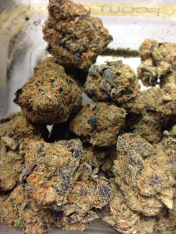 packthat-bowl:  These Girl Scout Cookies