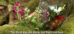 breeeliss: newtgeiszler:  onlinepunk: Suicide Forest in Japan in the wake of that horrible youtube video, it’s important to support suicidal people and remember suicide victims. i don’t know who that man was but his life shouldn’t be a footnote