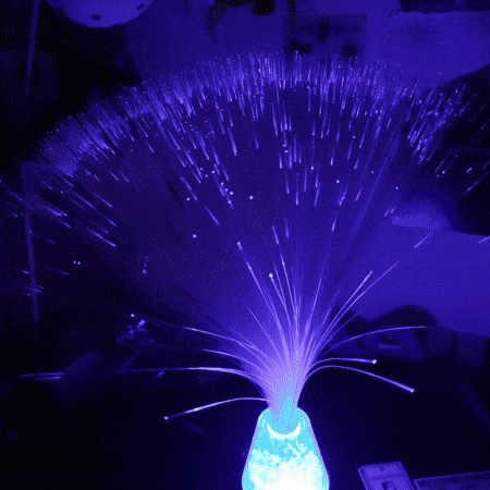 fibre optic lamp | Explore Tumblr Posts and Blogs | Tumgir