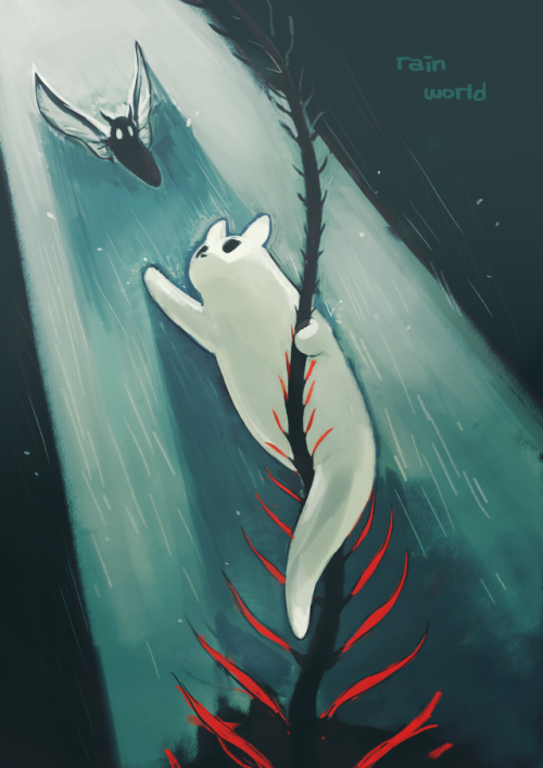 tsurunel:  Rain world is too hard to play,,, ㅜㅜ ,, , and slugcat is so cute… 