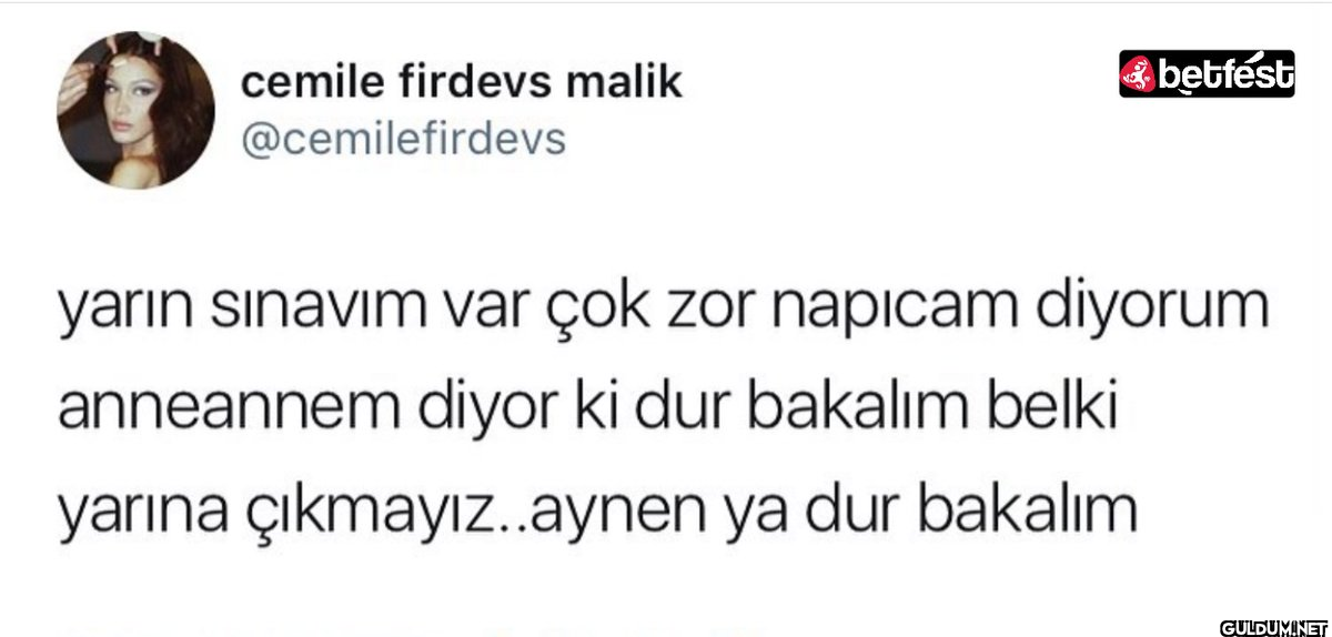 cemile firdevs malik...