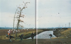 avtavr: Jeff Wall, A Sudden Gust of Wind