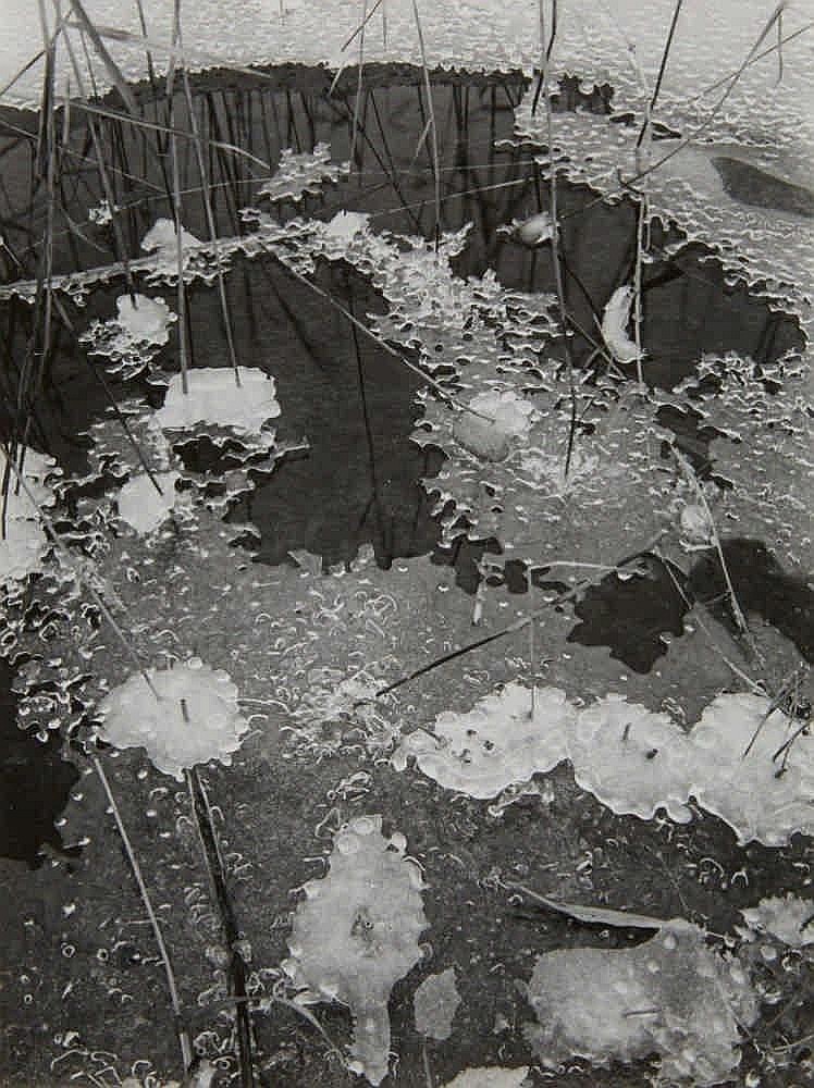 gacougnol:  Peter KeetmanVereistes Seeufer [Icy lake shore] 1950