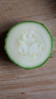 I never noticed the perfect symmetry of a zucchini from within 