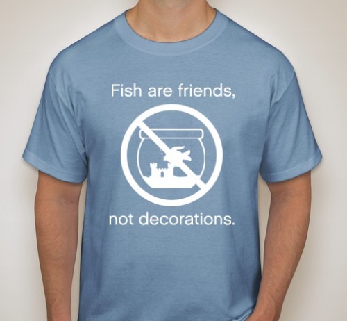 pettyartist:thefrecklebum:fishmostly:goldfishdoctor:goodbetterbetta:So……..this happened. When I was 