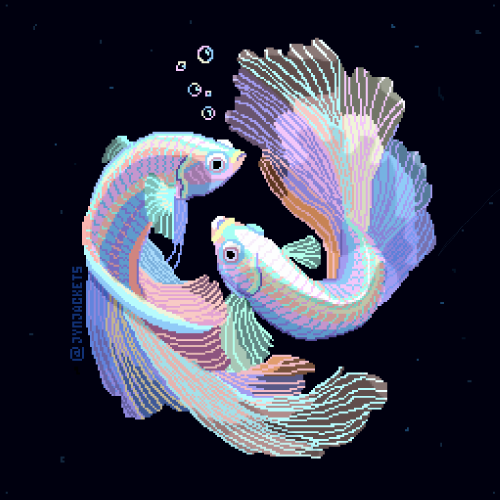 Fish Boifriends