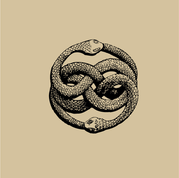 cinnamon zen