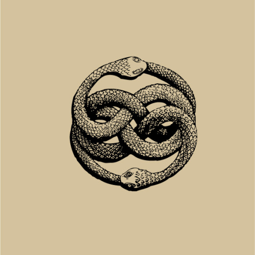 cinnamon zen