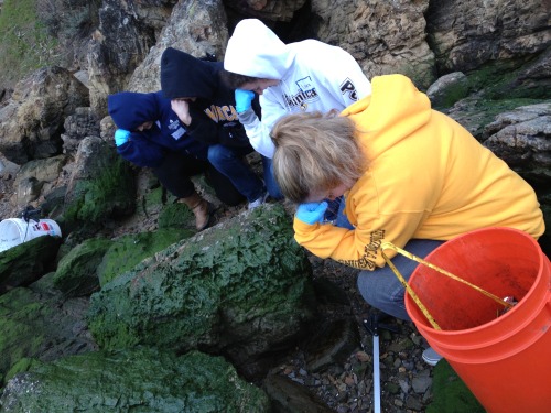 Community service tebowing