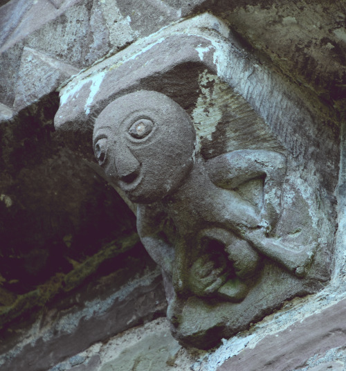 Preserved grotesques from the Norman Church at Kilpeck, Herefordshire including the best UK example 