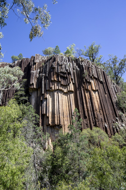 2022: Sawn Rocks, Mount Kaputar National Park. As the Australasian plate moved north during the Tert