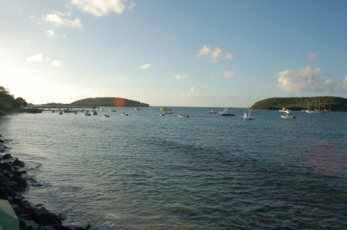 Vieques, Puerto Rico