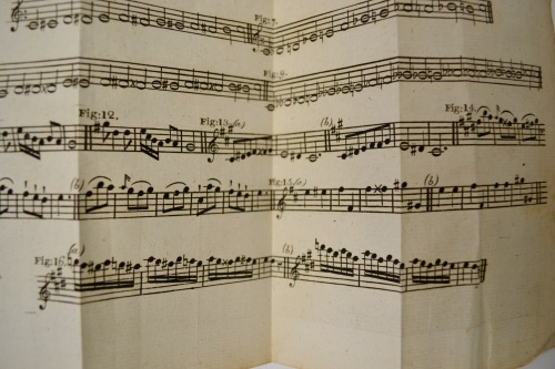 It’s Fold-out Friday!Today’s lesson is all about intervals. Plate No. 5: The Chromatic S