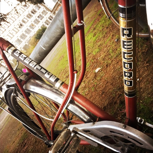 cyclehaul: On the rack: Record Prestige