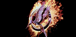 jonasvasqez:  Mockingjay breaks free at the end of Mockingjay Part 1. 