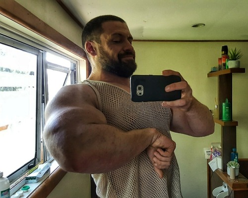 beastpup:  Fuck it’s good to be a bull!