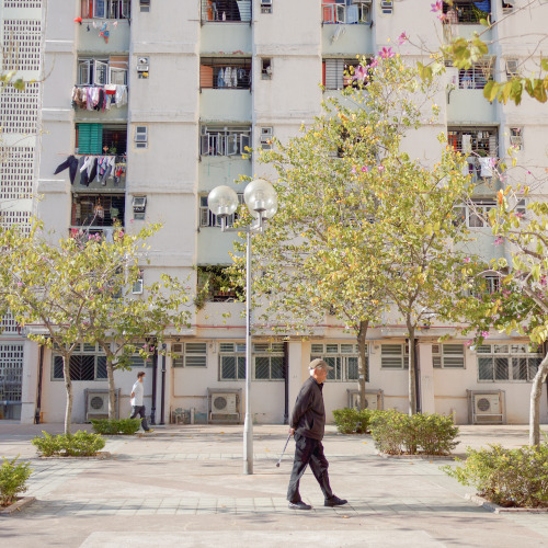 屯門 • 大興邨 ｜ Tuen Mun • Tai Hing Estate