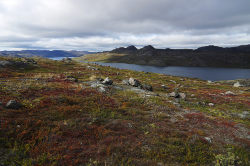 Day 3: On the way to Amitsorsuaq lake by Gregor Samsa