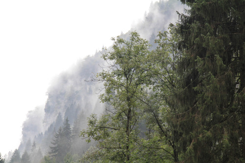 Nebelschwaden an den Berghängen im Ossolatal by Anita