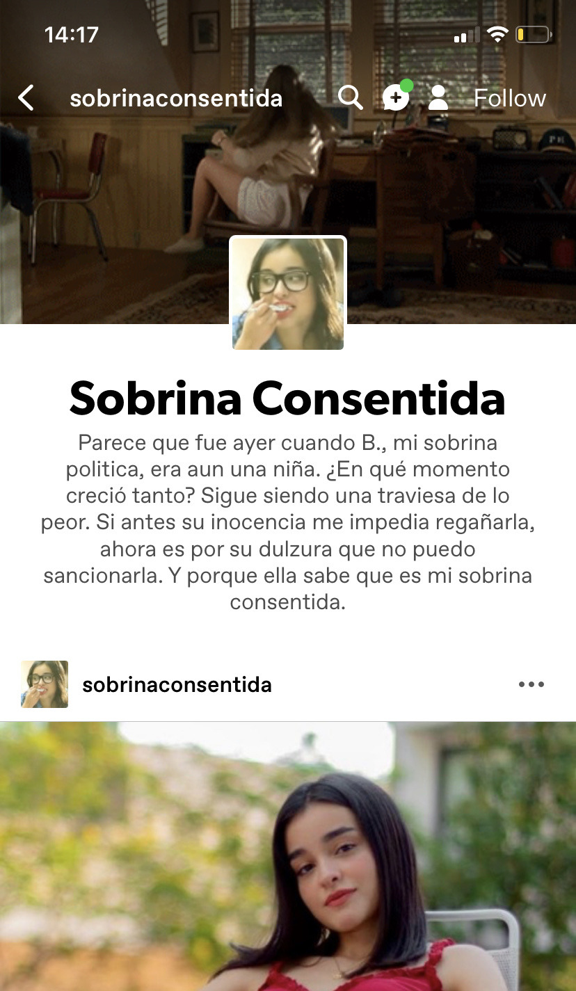 Mi sobrina traviesa