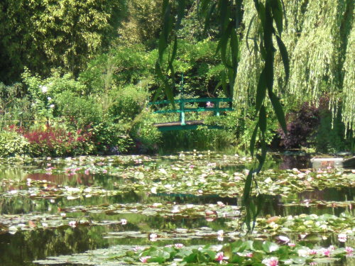bamhbi: LOOOOK i went to monet’s gardens in Giverny and took this picture :—-) over 100 years after Monet’s painting of the water lilies 