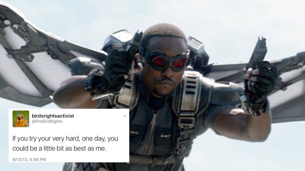 bert-and-ernie-are-gay:Sam Wilson x @ ProBirdRights [insp.][from the twitter genius