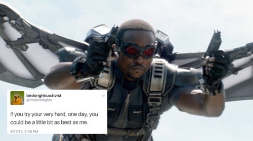 bert-and-ernie-are-gay:Sam Wilson x @ ProBirdRights [insp.][from the twitter genius of stuckyparty]