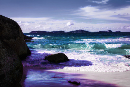 Dreamy Waves