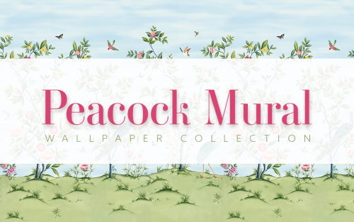 Peacock Mural WallpaperA beautiful peacock motif in three colourways.Download (early access, public 