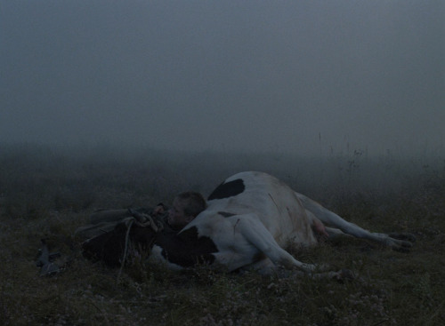 ‘Иди и смотри’ (Come and See), Elem Klimov (1985) And when he had opened the fourth seal, I he