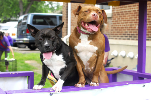 The kissing booth girls are ready to smooch your face!