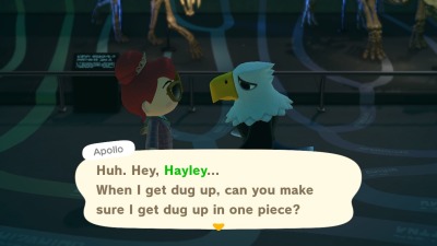 fuckyeah-animalcrossing:starstuf:fuckyeah-animalcrossing:Apollo??In the very recent past, bald eagles were a critically endangered species.However, it seems more likely that Apollo is aware that he, as a bird, is surrounded by the bones of his direct