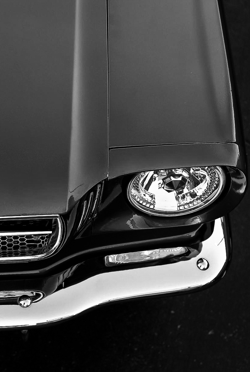 Ford Mustangs