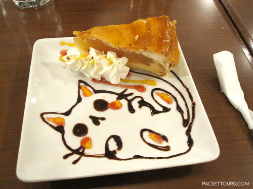 pacsettours:Cute chocolate cat at the maid cafe!