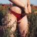 #2732 - Michela#2732 – MichelaView On WordPress